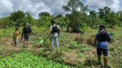 Kepolisian menyebut jumlah pelaku pembunuhan terhadap dua warga Yahukimo di Jalan Statistik Dekai, Distrik Dekai, Kabupaten Yahukimo, Provinsi Papua Pegunungan, Minggu (30/4/2023) diduga lebih dari dua orang.
