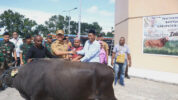 Pj Bupati Mimika, Valentinus S. Sumito, S.IP., M.Si., menyalurkan bantuan 32 ekor sapi kurban pemberian dari Pemerintah Daerah Kabupaten Mimika. Penyerahan dilakukan di Graha Emeneme Yauare, Timika, Kabupaten Mimika, Provinsi Papua Tengah, Senin (26/06/2023).