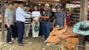 Ketua Ikatan Keluarga Toraja, Yusuf Passarin Rombe menjalin silaturahim dengan cara memberikan bantuan hewan kurban berupa 3 ekor Sapi kepada 3 Masjid di Timika pada momentum Hari Raya Idul Adha 1445H.