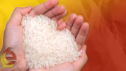 Beras premium produksi PT Food Station Tjipinang Jaya dikonfirmasi tidak memenuhi syarat yang berlaku dari hasil uji laboratorium. Merek beras