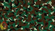 Adanya penempatan pasukan TNI non-organik di Kampung Jalai, Distrik Sugapa, Intan Jaya, Provinsi Papua Tengah dinilai membuat warga